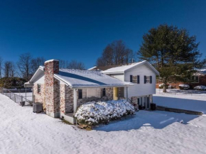 Chalet@Winterplace*NRG*BBQ*FirePit*CornHole*Pets